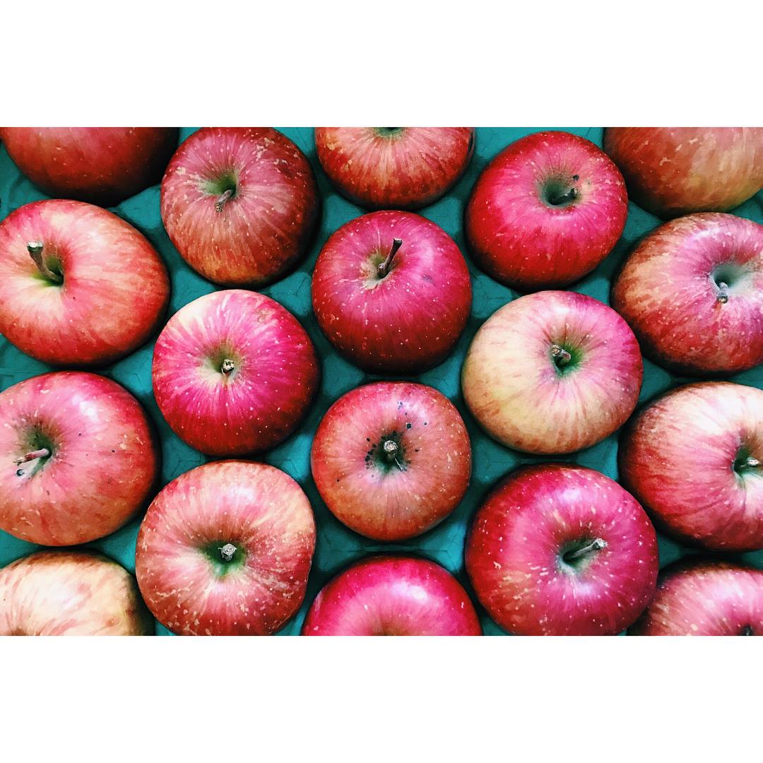 《コラボレーション》雹kissりんごのアップルパイジェラートがリッコジェラート（門前仲町）で販売開始